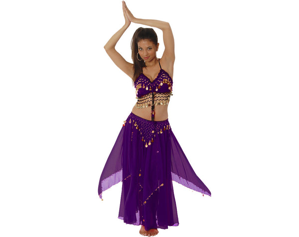 Dark Purple Plum Chiffon Deluxe Belly Dance Bra Top with Gold Coins