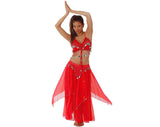 Belly Dancer Costume with Coins