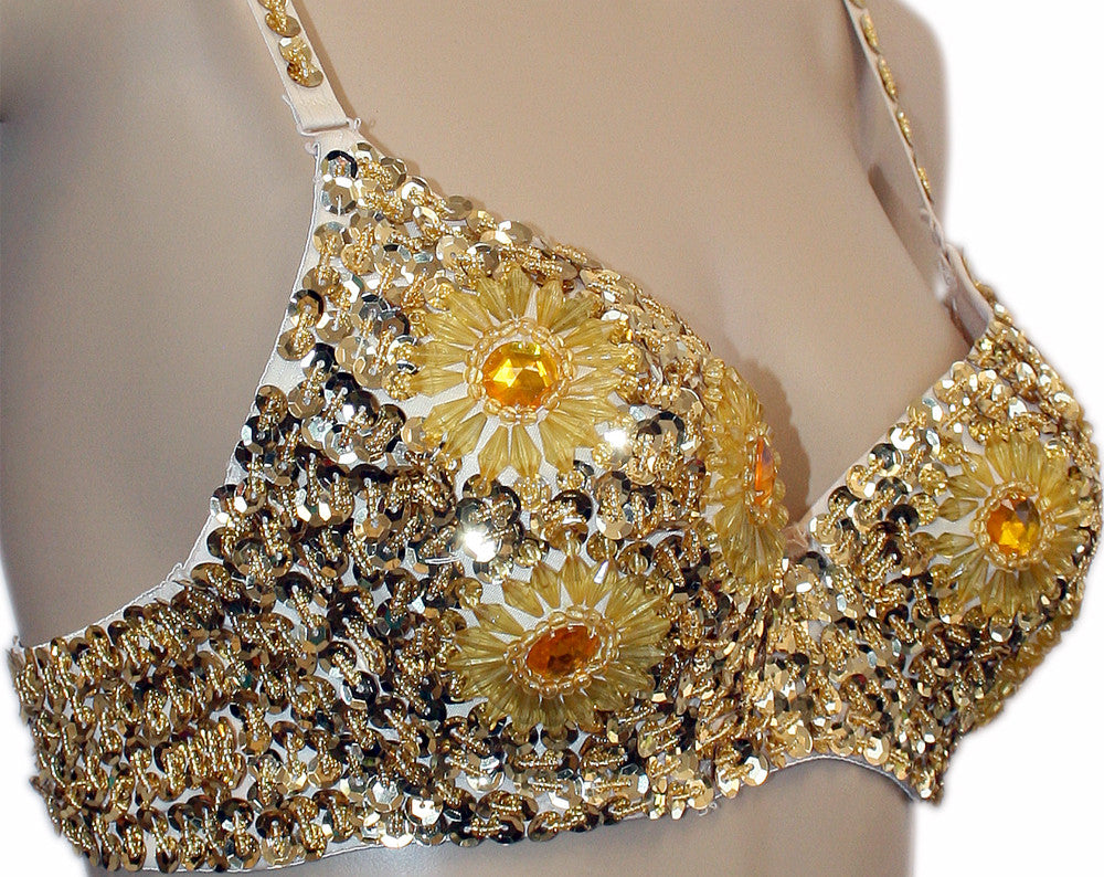 Shop Online Floral Sequin Belly Dance Bra Top – Jon's Imports Inc